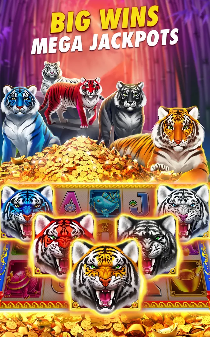 7755K APK: Download Oficial, Versão Mais Recente e Gratuita com Segurança! description image 3